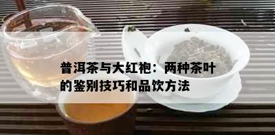 普洱茶与大红袍：两种茶叶的鉴别技巧和品饮方法