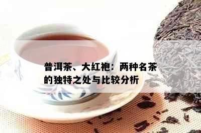 普洱茶、大红袍：两种名茶的独特之处与比较分析