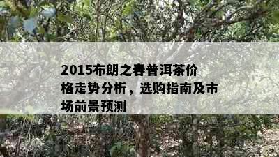 2015布朗之春普洱茶价格走势分析，选购指南及市场前景预测