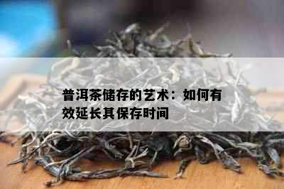 普洱茶储存的艺术：如何有效延长其保存时间