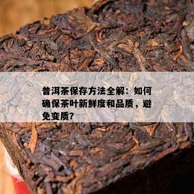 普洱茶保存方法全解：如何确保茶叶新鲜度和品质，避免变质？