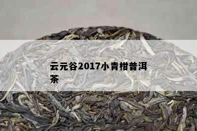 云元谷2017小青柑普洱茶