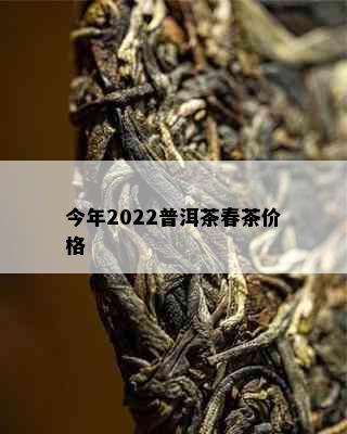 今年2022普洱茶春茶价格