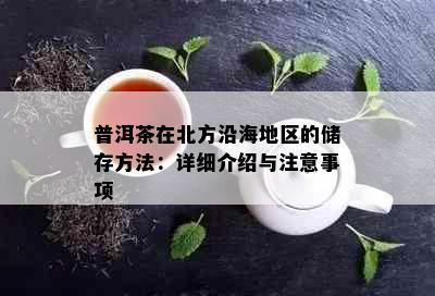 普洱茶在北方沿海地区的储存方法：详细介绍与注意事项