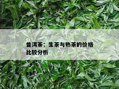 普洱茶：生茶与熟茶的价格比较分析