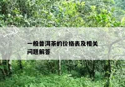 一般普洱茶的价格表及相关问题解答