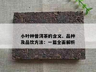 小叶种普洱茶的含义、品种及品饮方法：一篇全面解析