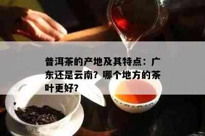 普洱茶的产地及其特点：广东还是云南？哪个地方的茶叶更好？