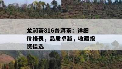 龙润茶816普洱茶：详细价格表，品质卓越，收藏投资佳选