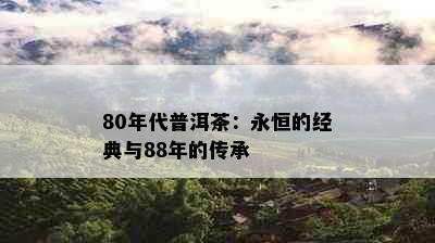 80年代普洱茶：永恒的经典与88年的传承