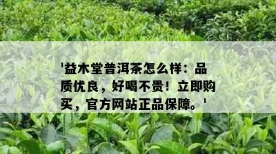 '益木堂普洱茶怎么样：品质优良，好喝不贵！立即购买，官方网站正品保障。'