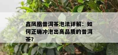 鑫凤凰普洱茶泡法详解：如何正确冲泡出高品质的普洱茶？