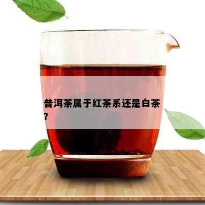 普洱茶属于红茶系还是白茶？