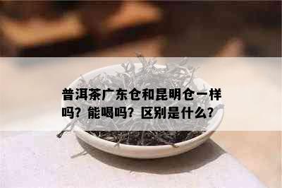 普洱茶广东仓和昆明仓一样吗？能喝吗？区别是什么？