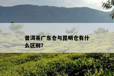 普洱茶广东仓与昆明仓有什么区别？