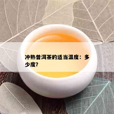 冲熟普洱茶的适当温度：多少度？