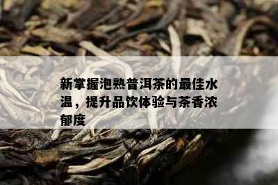 新掌握泡熟普洱茶的更佳水温，提升品饮体验与茶香浓郁度