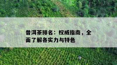 普洱茶排名：权威指南，全面了解各实力与特色