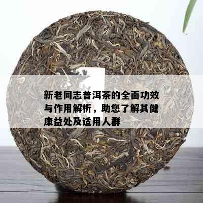 新老同志普洱茶的全面功效与作用解析，助您了解其健康益处及适用人群