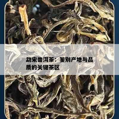 勐宋普洱茶：鉴别产地与品质的关键茶区