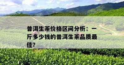 普洱生茶价格区间分析：一斤多少钱的普洱生茶品质更佳？