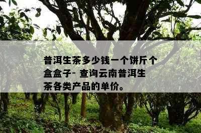 普洱生茶多少钱一个饼斤个盒盒子- 查询云南普洱生茶各类产品的单价。