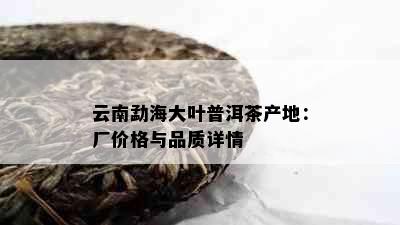 云南勐海大叶普洱茶产地：厂价格与品质详情