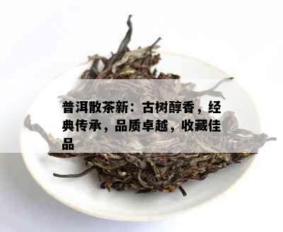 普洱散茶新：古树醇香，经典传承，品质卓越，收藏佳品