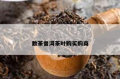 散茶普洱茶叶购买购商