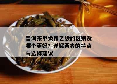 普洱茶甲级和乙级的区别及哪个更好？详解两者的特点与选择建议