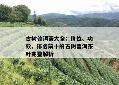 古树普洱茶大全：价位、功效、排名前十的古树普洱茶叶完整解析