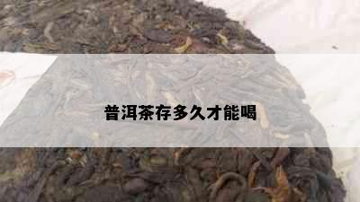 普洱茶存多久才能喝