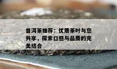 普洱茶推荐：优质茶叶与您共享，探索口感与品质的完美结合