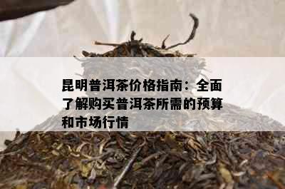 昆明普洱茶价格指南：全面了解购买普洱茶所需的预算和市场行情