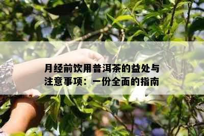 月经前饮用普洱茶的益处与注意事项：一份全面的指南