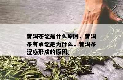 普洱茶涩是什么原因，普洱茶有点涩是为什么，普洱茶涩感形成的原因。