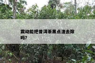 震动能把普洱茶黑点渣去除吗？