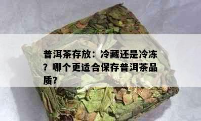 普洱茶存放：冷藏还是冷冻？哪个更适合保存普洱茶品质？