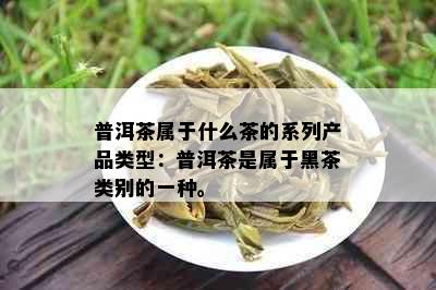 普洱茶属于什么茶的系列产品类型：普洱茶是属于黑茶类别的一种。