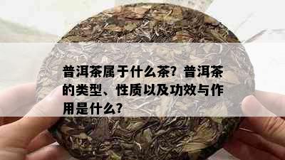 普洱茶属于什么茶？普洱茶的类型、性质以及功效与作用是什么？