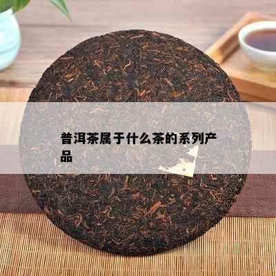 普洱茶属于什么茶的系列产品