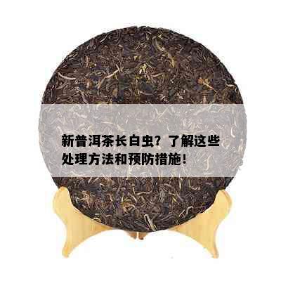 新普洱茶长白虫？了解这些处理方法和预防措施！