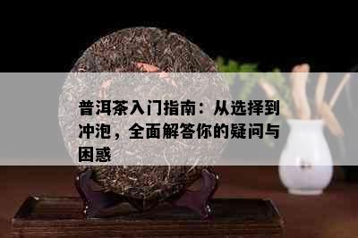 普洱茶入门指南：从选择到冲泡，全面解答你的疑问与困惑