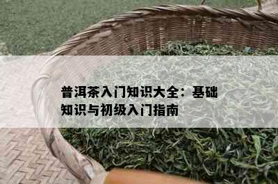 普洱茶入门知识大全：基础知识与初级入门指南