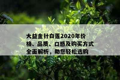 大益金针白莲2020年价格、品质、口感及购买方式全面解析，助您轻松选购