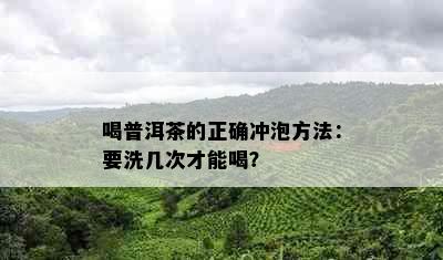 喝普洱茶的正确冲泡方法：要洗几次才能喝？