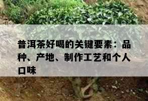 普洱茶好喝的关键要素：品种、产地、制作工艺和个人口味