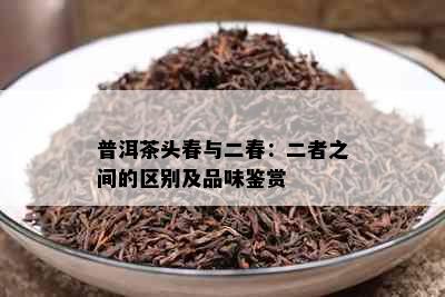 普洱茶头春与二春：二者之间的区别及品味鉴赏