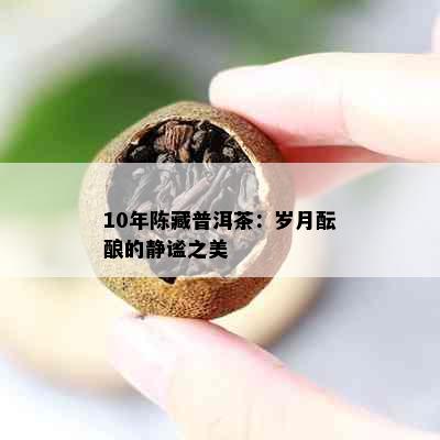 10年陈藏普洱茶：岁月酝酿的静谧之美