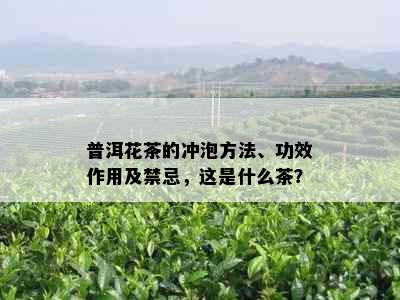 普洱花茶的冲泡方法、功效作用及禁忌，这是什么茶？